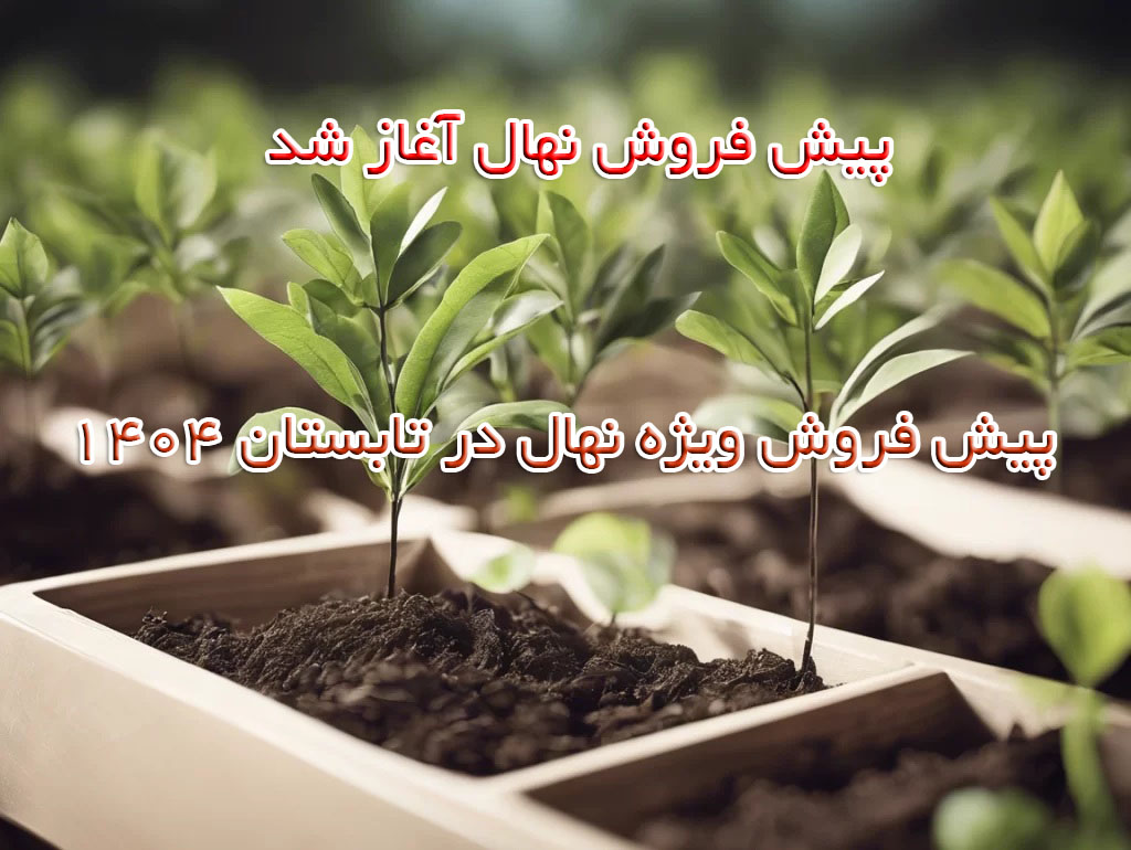 پیش خرید نهال پیش از رسیدن فصل نهال