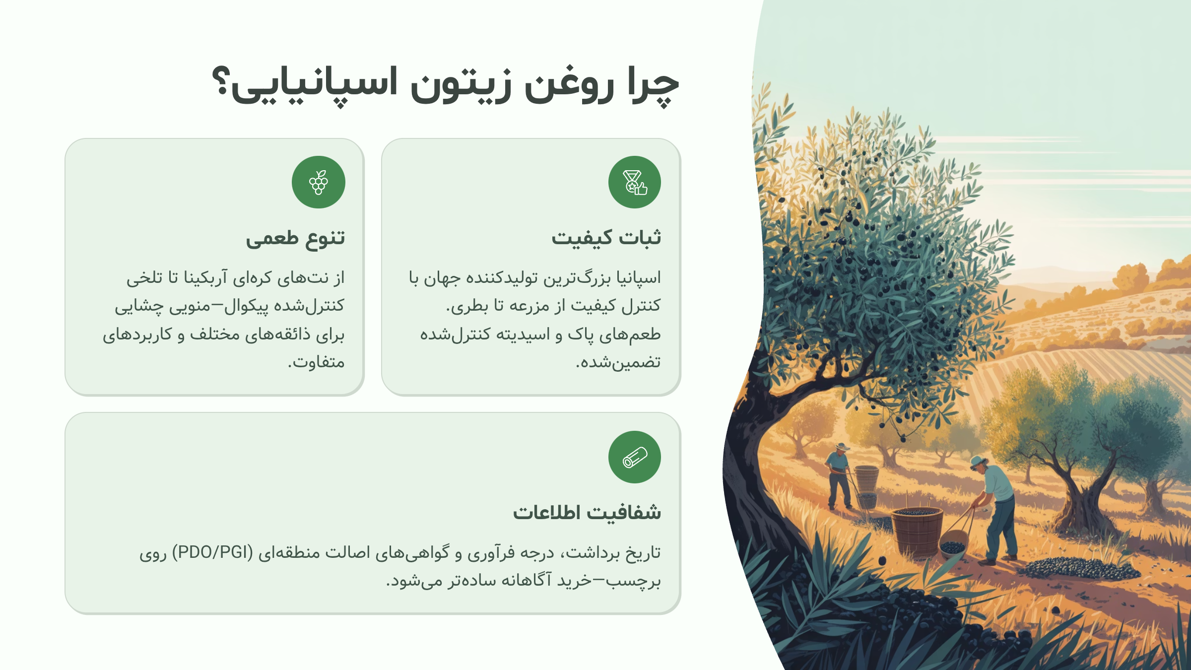 چرا روغن زیتون اسپانیایی؟