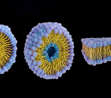 زیردریاییهای پروتئینی علیه سرطان؛ دارورسانی هوشمند بدون عوارض گسترده زیردریاییهای پروتئینی علیه سرطان؛ دارورسانی هوشمند بدون عوارض گسترده