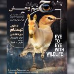 رویداد تجسمی «چشم در چشم حیات‌وحش» برگزار می‌شود