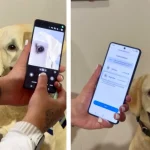 سامسونگ قابلیت Pet Care را معرفی کرد؛ تشخیص بیماری حیوان خانگی با یک عکس