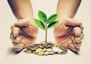 صندوق نوآفرین در مسیر احیا / مدیرعامل جدید معرفی شد