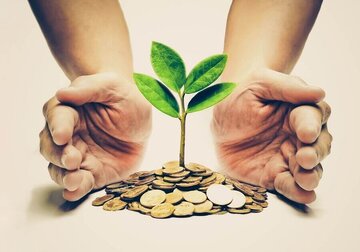 صندوق نوآفرین در مسیر احیا / مدیرعامل جدید معرفی شد