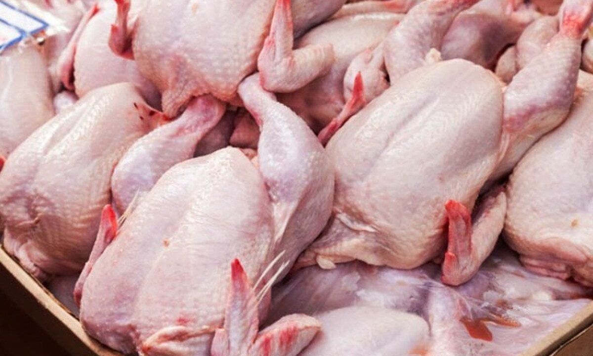 چراغ سبز به صادرات گوشت مرغ / قیمت‌ها در بازار داخلی بالا می‌رود؟