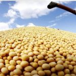 کاهش ۷.۴درصدی میانگین قیمت جهانی سویای صادراتی در ۲۰۲۵؛ سهم ایران از بازار جهانی چقدر است؟ کاهش ۷.۴درصدی میانگین قیمت جهانی سویای صادراتی در ۲۰۲۵؛ سهم ایران از بازار جهانی چقدر است؟