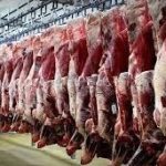 کاهش 6 درصدی تولید گوشت قرمز در تیر 1405