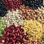 113درصد اختلاف قیمت لوبیا در بازار با وجود تخصیص ارز مبادله‌ای