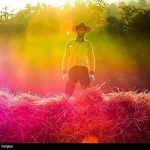 افزایش 16 درصدی تولید برنج امسال در کشور