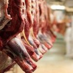 واردات گوشت قرمز با وجود محاصره تنگه هرمز ادامه دارد