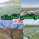 توصیه هواشناسی کشاورزی به کشاورزان: آماده بارش و وزش باد شدید باشید