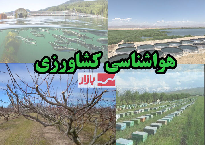 توصیه هواشناسی کشاورزی به کشاورزان: آماده بارش و وزش باد شدید باشید توصیه هواشناسی کشاورزی به کشاورزان: آماده بارش و وزش باد شدید باشید